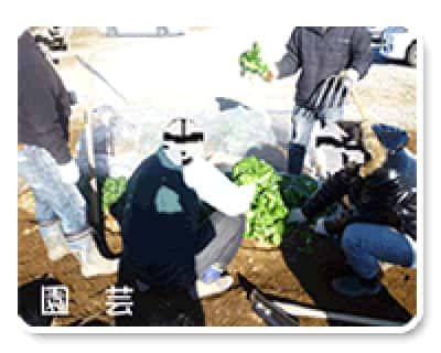 園芸